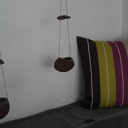 Stylish Modern Comfort